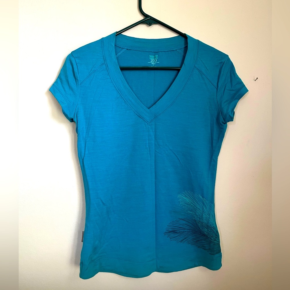Icebreaker teal, v-neck, merino wool t-shirt